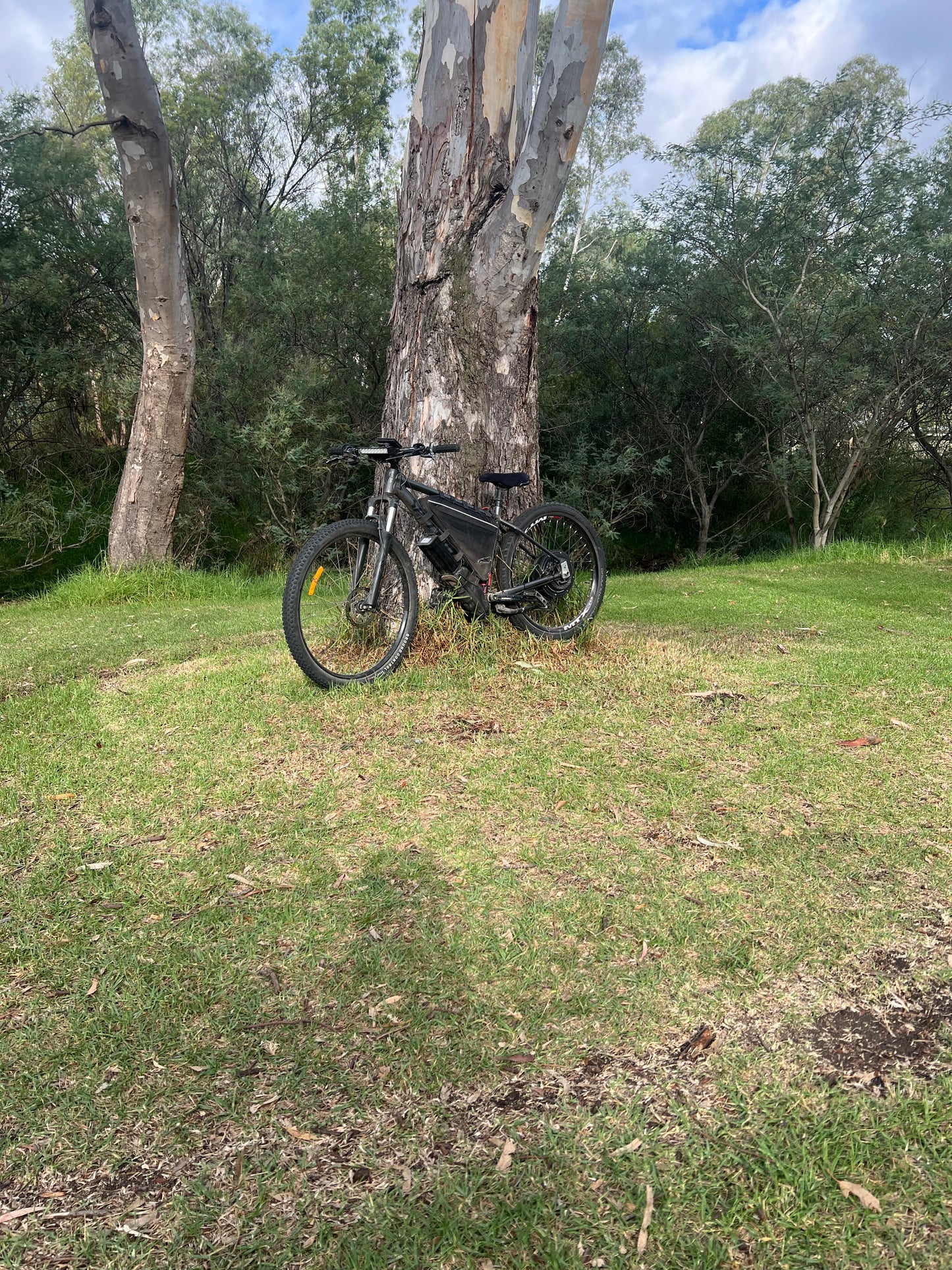 Custom Bike or Prebuilt Bikes