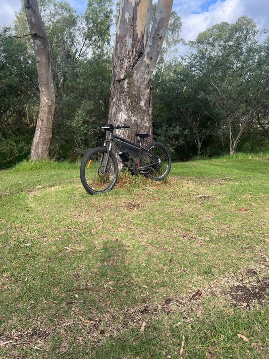 Custom Bike or Prebuilt Bikes